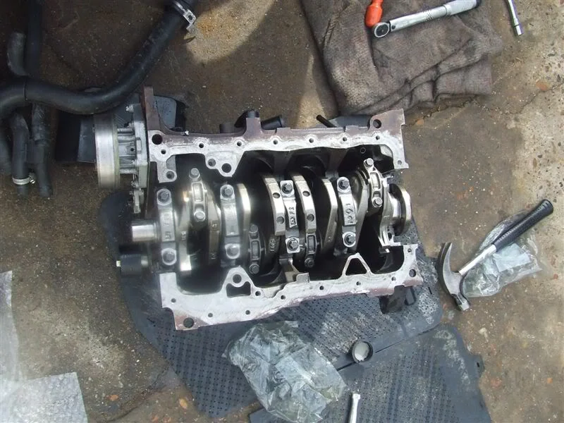 DSCF1885.webp
