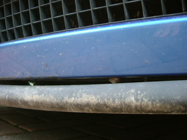 DSCF1910.jpg DSCF1910.jpg