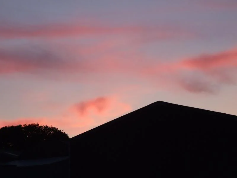 dscf1950.webp
