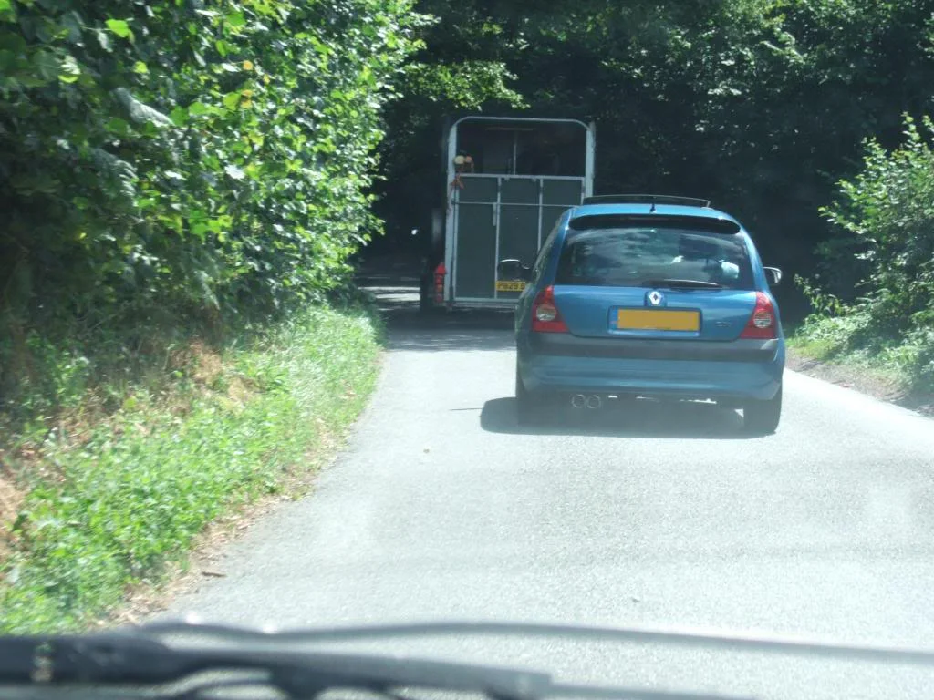 DSCF19671.webp
