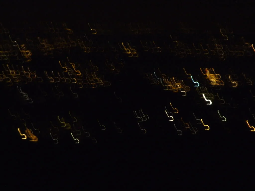 DSCF1993.webp