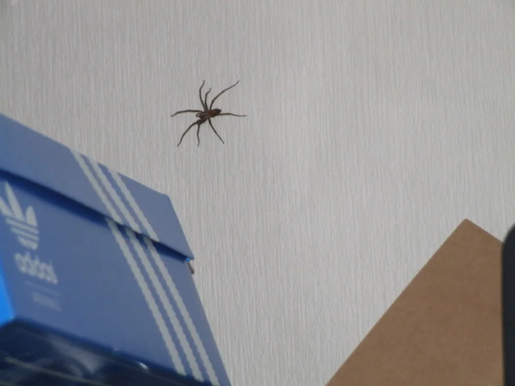 DSCF1994.webp
