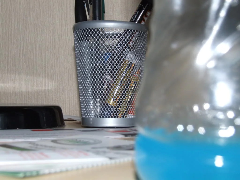 DSCF2032.webp