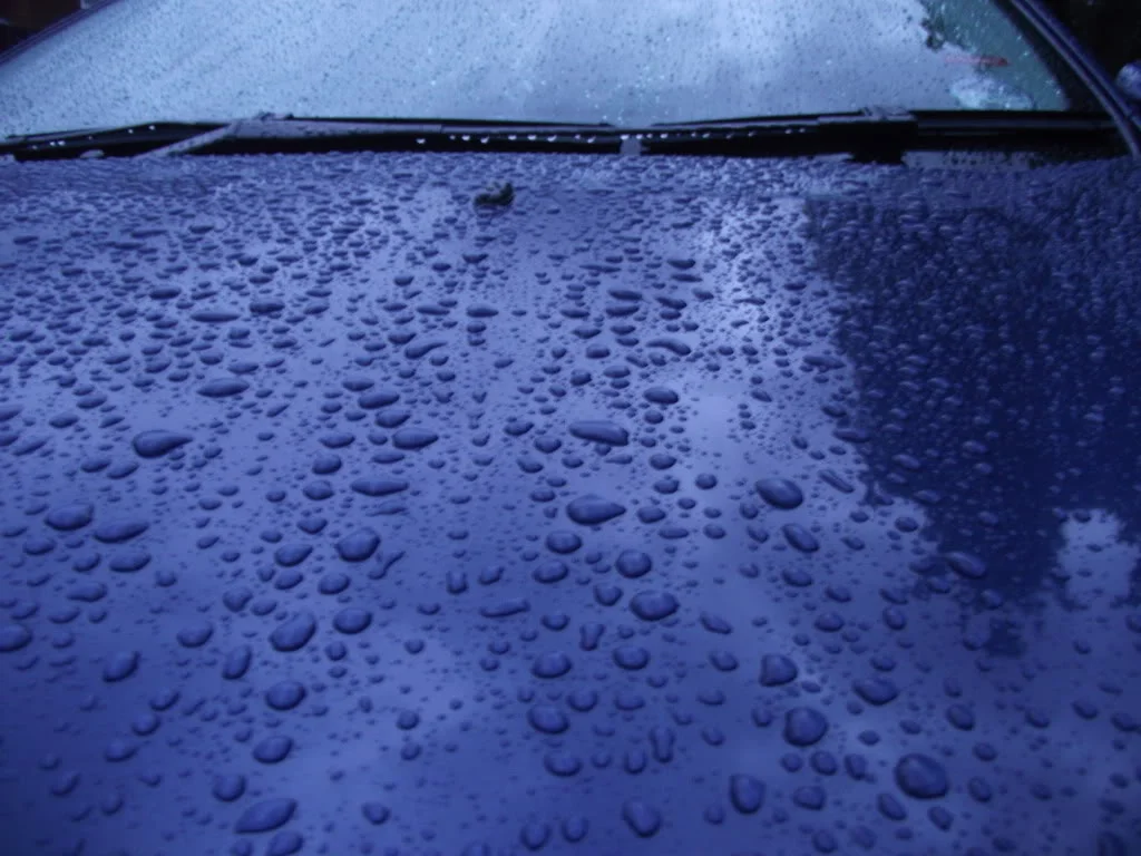 DSCF2051.webp