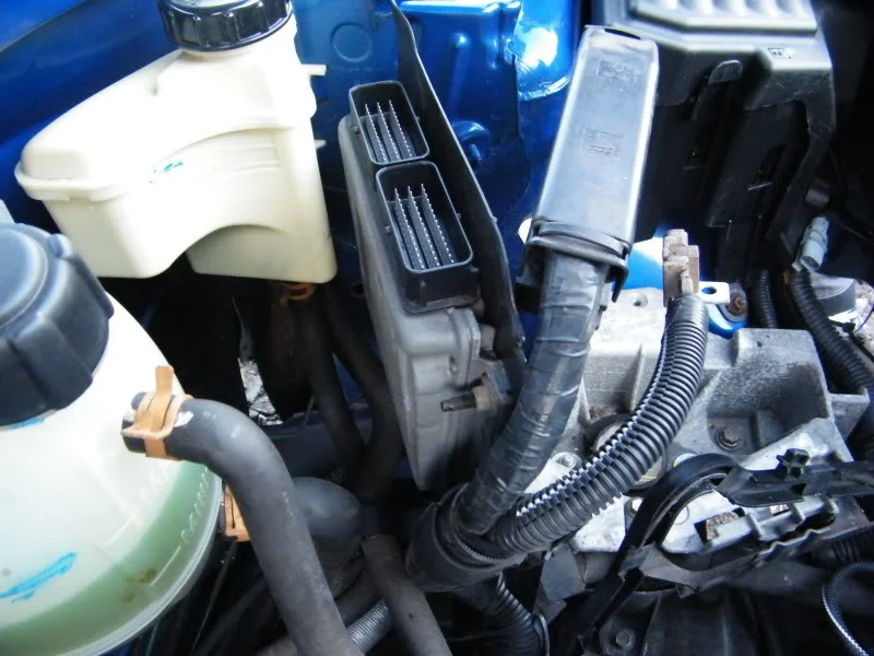 DSCF2054.webp