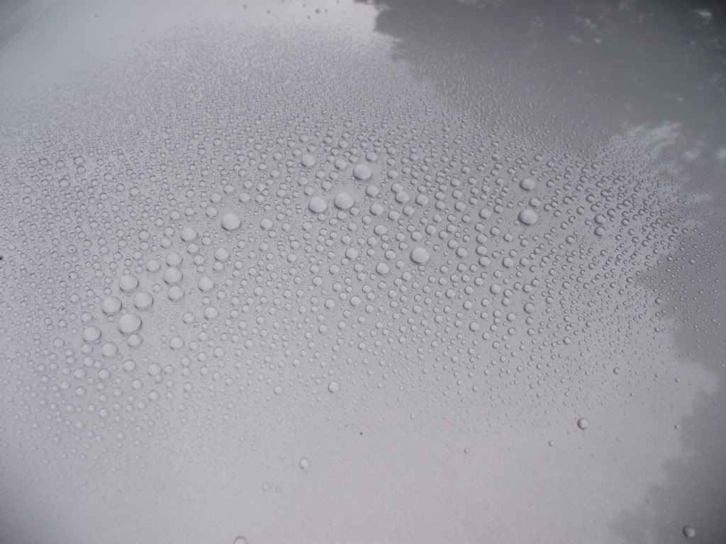 DSCF2056.jpg