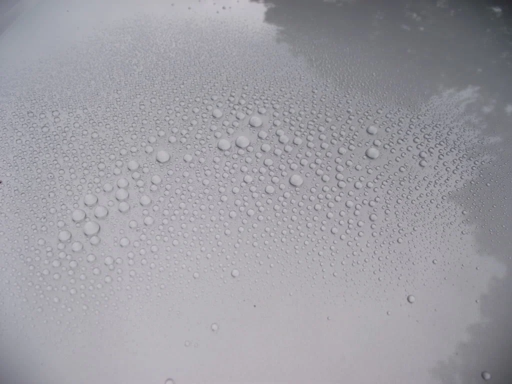 DSCF2056.webp