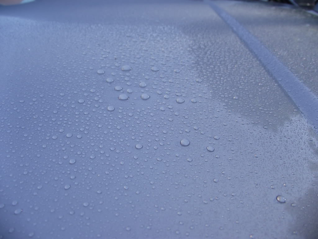 DSCF2060.jpg