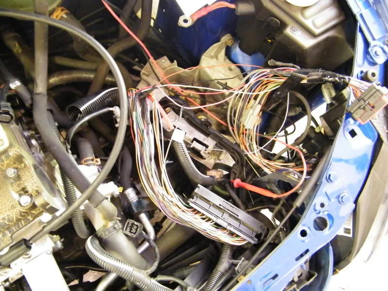 DSCF2076.webp