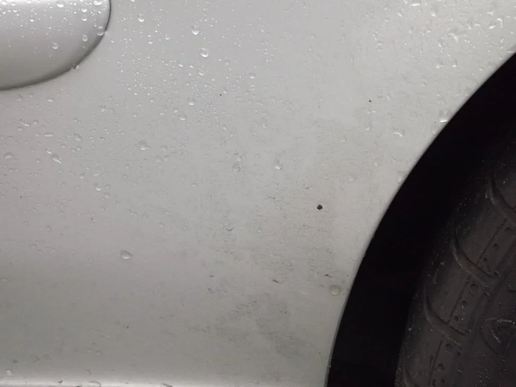 DSCF2149_zpsa4f83fef.webp