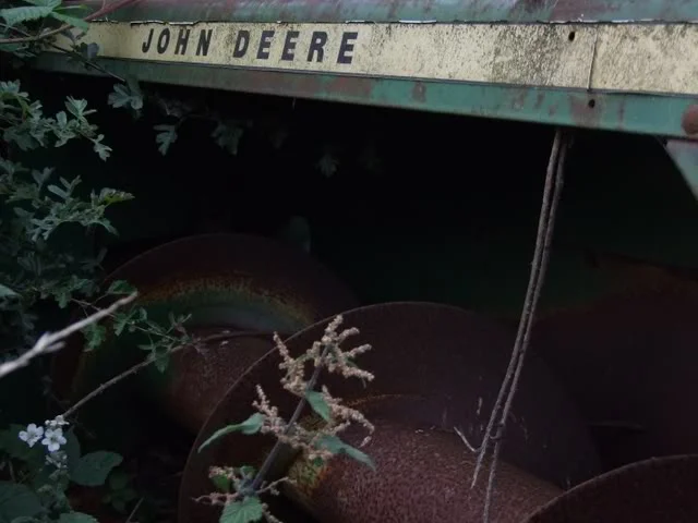 DSCF2155.webp