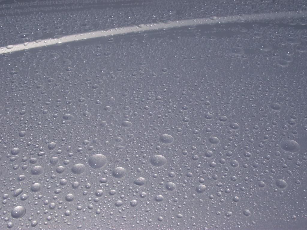 DSCF2342.jpg