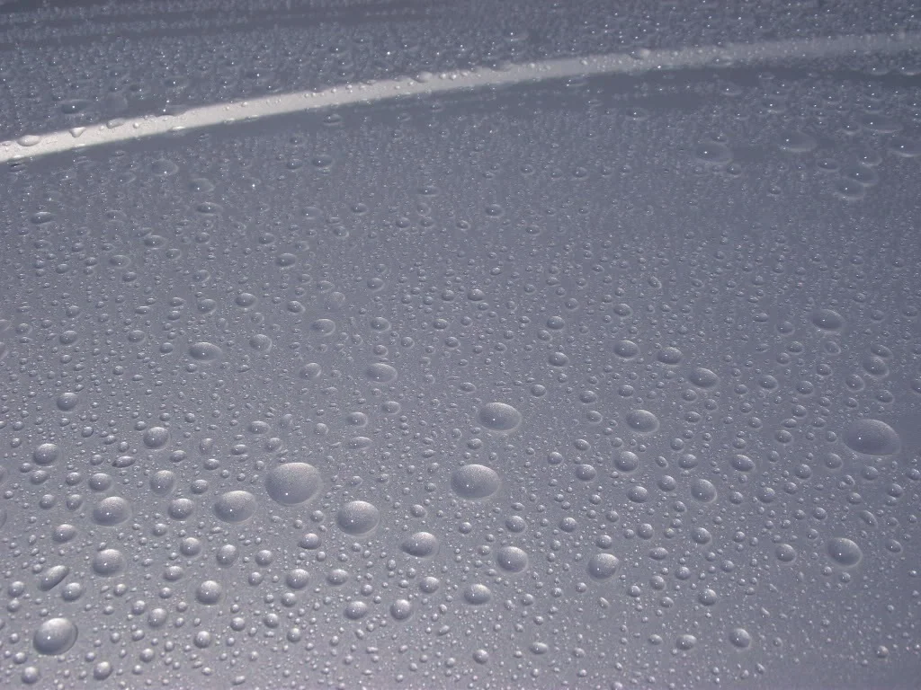 DSCF2342.webp