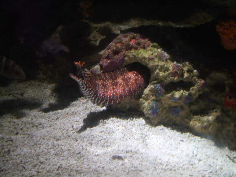DSCF2440.webp