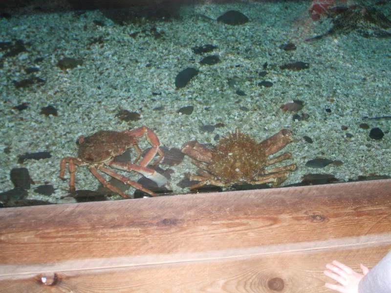 DSCF2448.webp