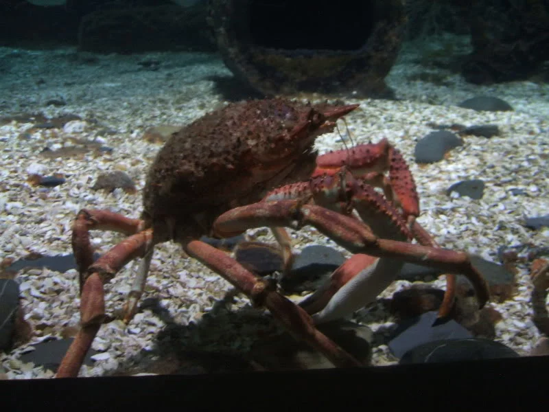 DSCF2451.webp