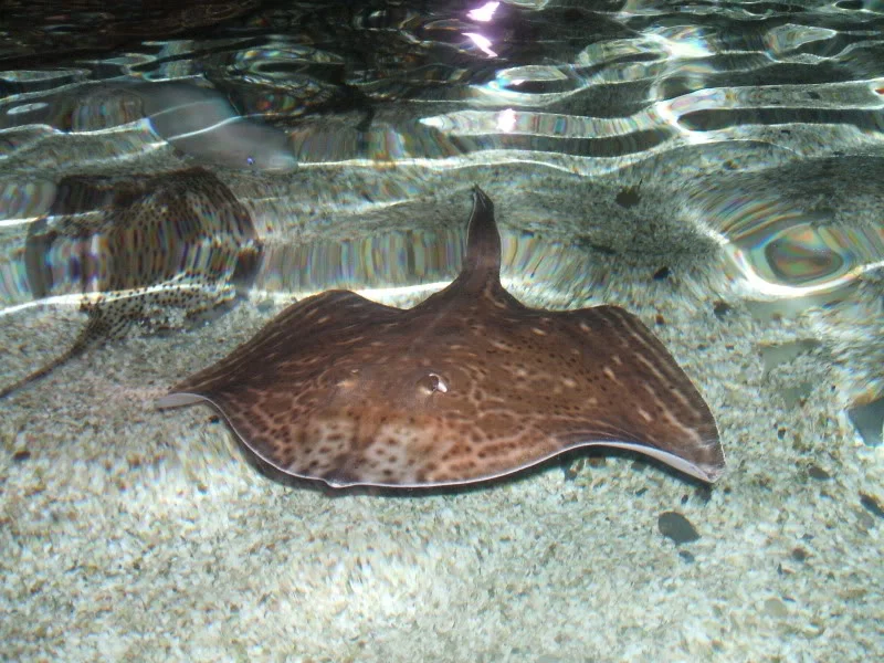 DSCF2457.webp