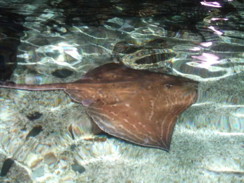 DSCF2465.webp