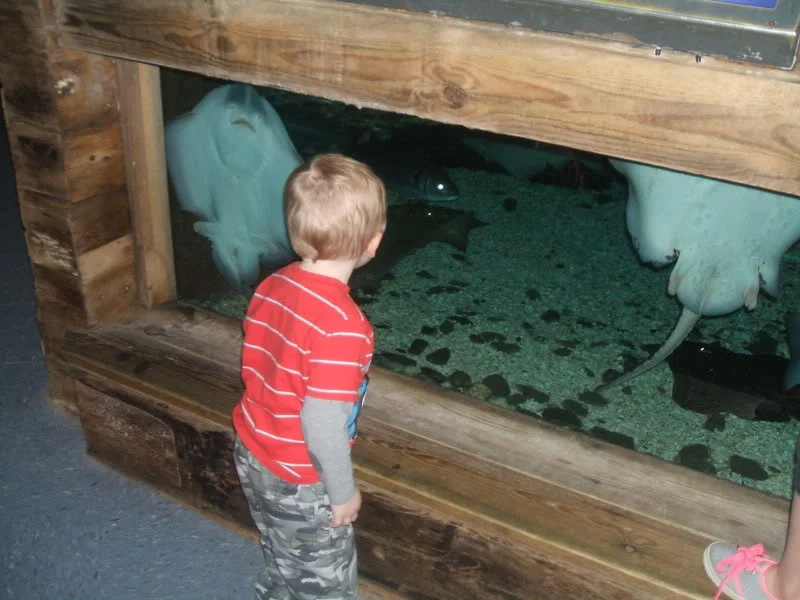 DSCF2467.webp