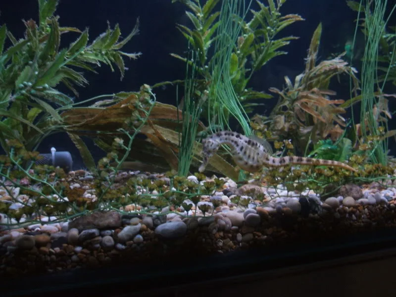 DSCF2469.webp