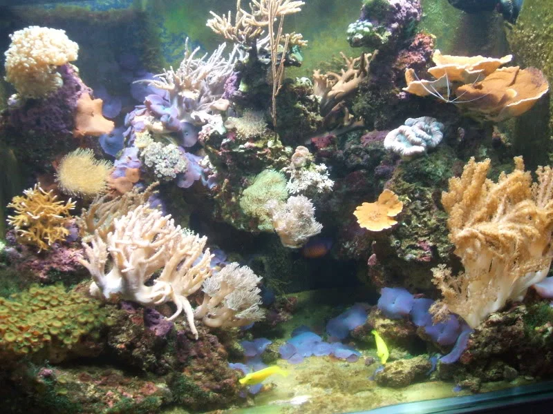 DSCF2476.webp