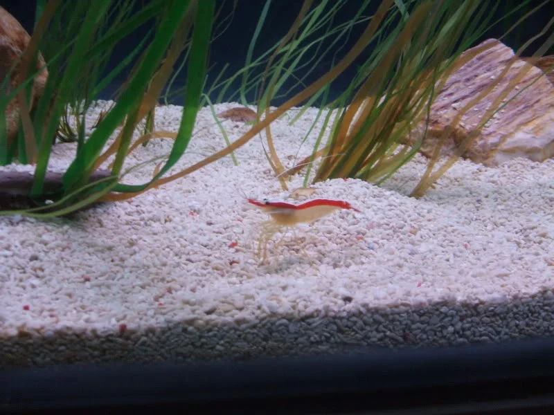 DSCF2477.webp