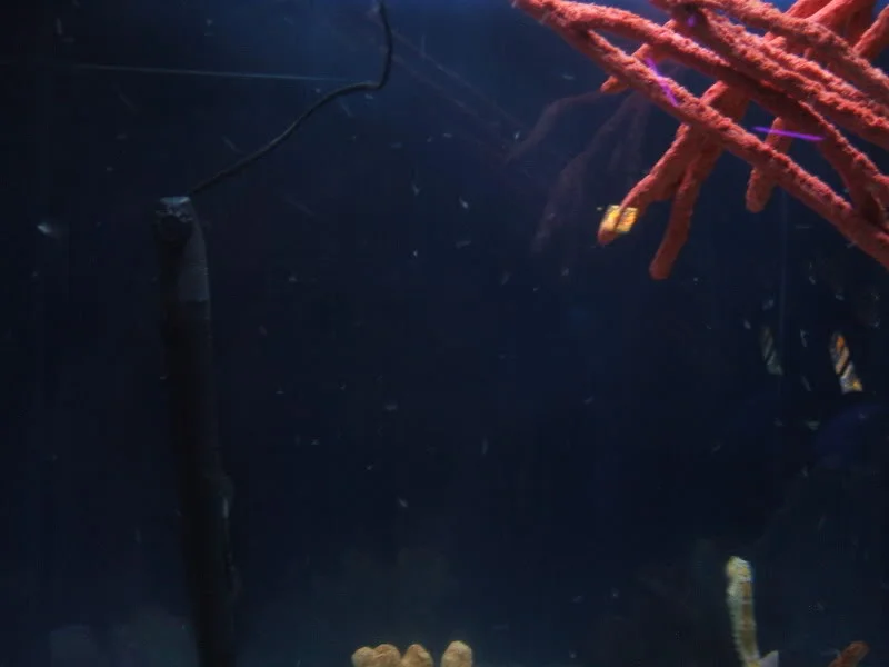 DSCF2480.webp