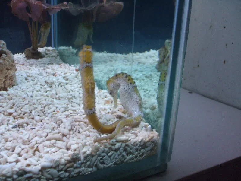 DSCF2481.webp