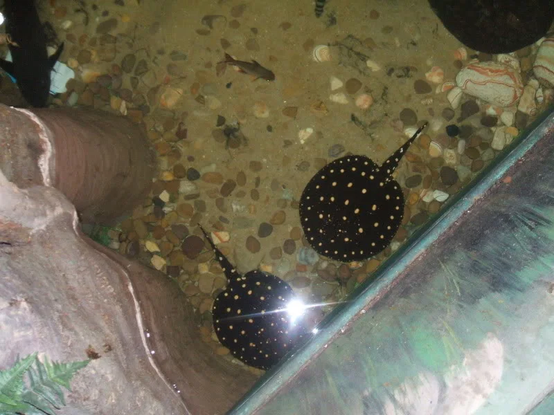 DSCF2491.webp