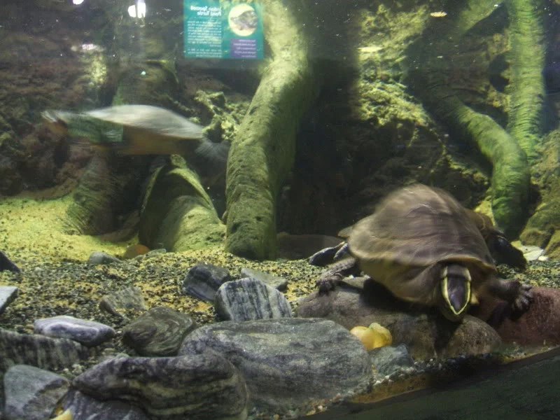 DSCF2499.webp