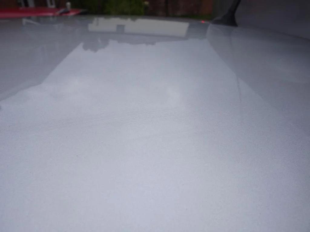 DSCF2531_zps05c6350e.webp