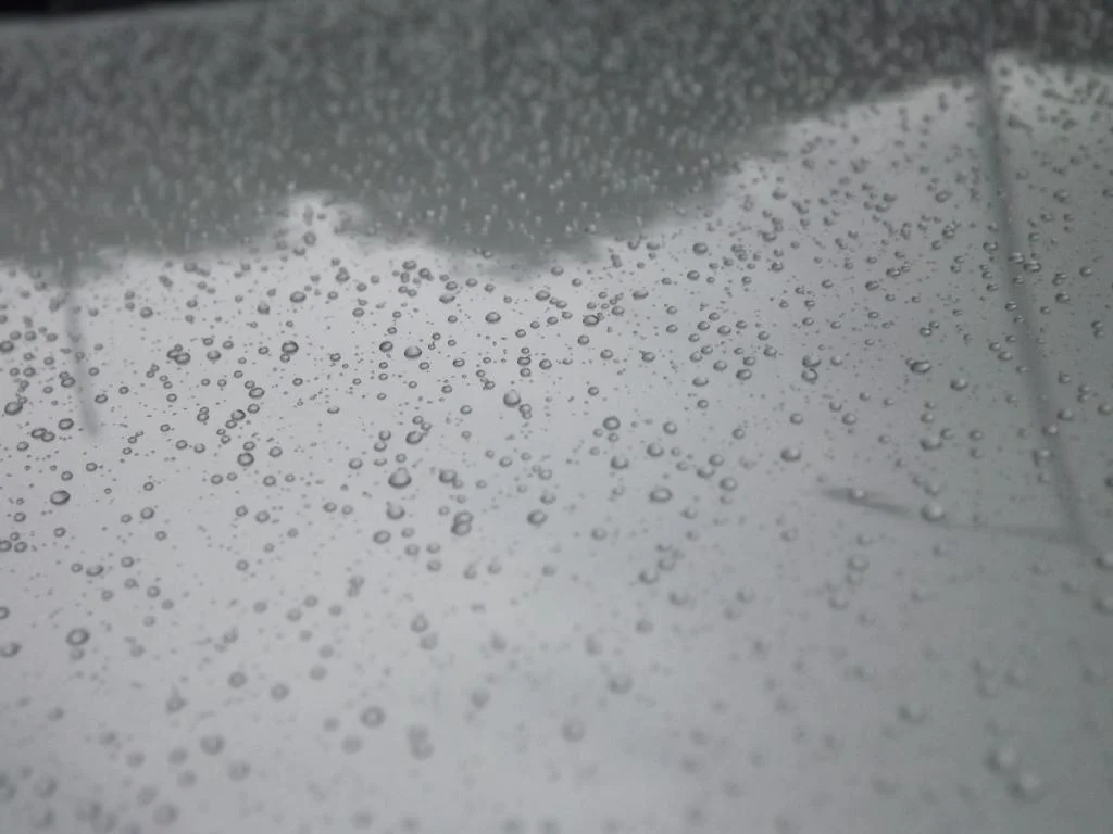 DSCF2542_zps81157786.webp