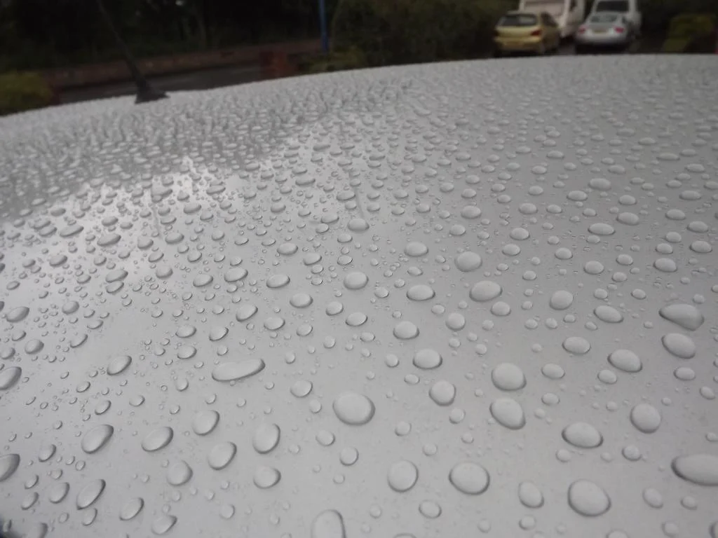 DSCF2543_zpscfe86775.webp
