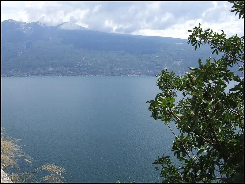 DSCF2568.webp