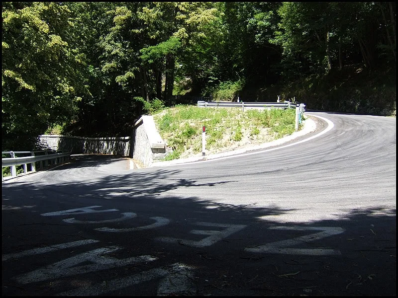 DSCF2575.webp