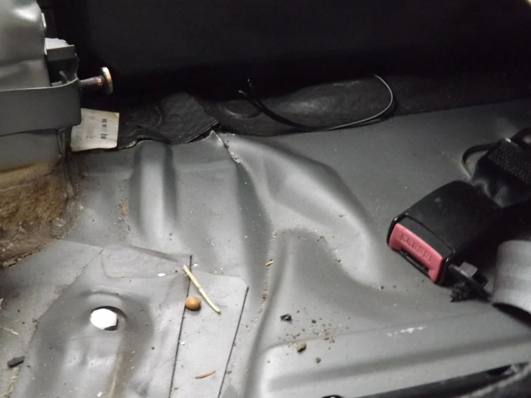 DSCF2582.webp