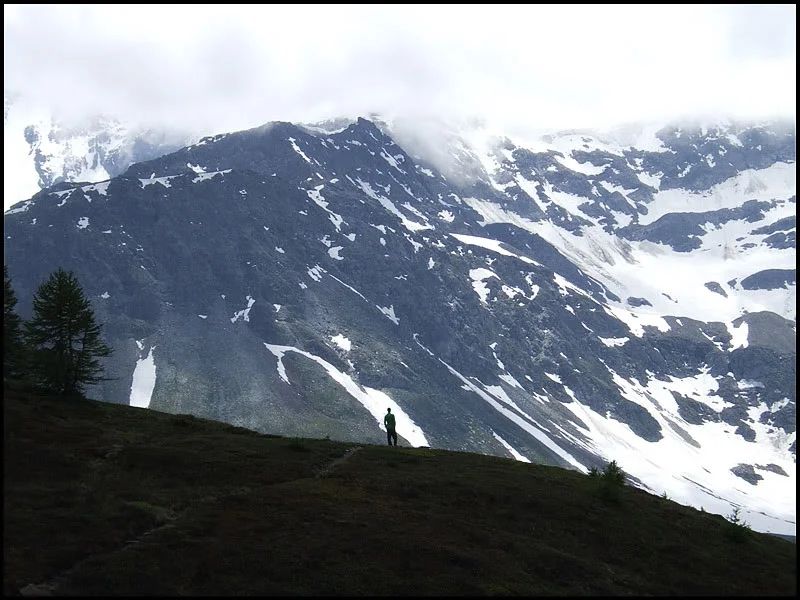 DSCF2589.webp