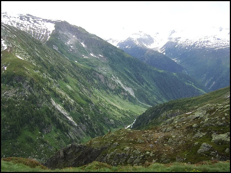 DSCF2613.webp