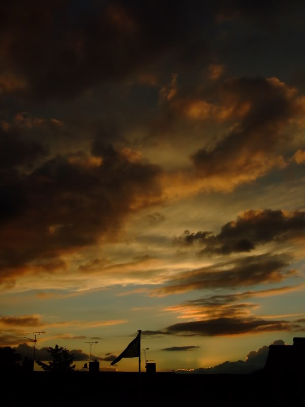 DSCF2614.jpg