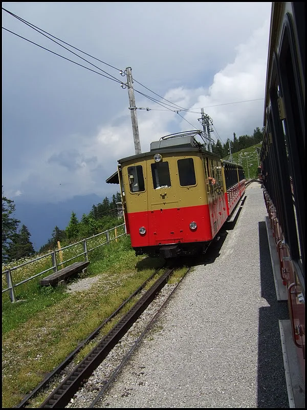 DSCF2653.webp