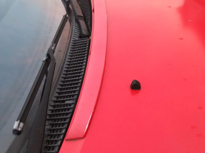 DSCF2656-1.webp