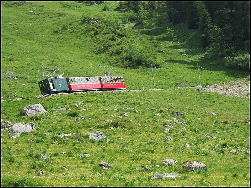 DSCF2657.webp
