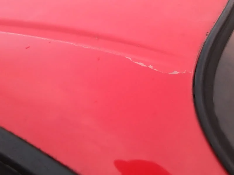 DSCF2657.webp