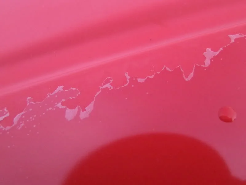 DSCF2659.webp