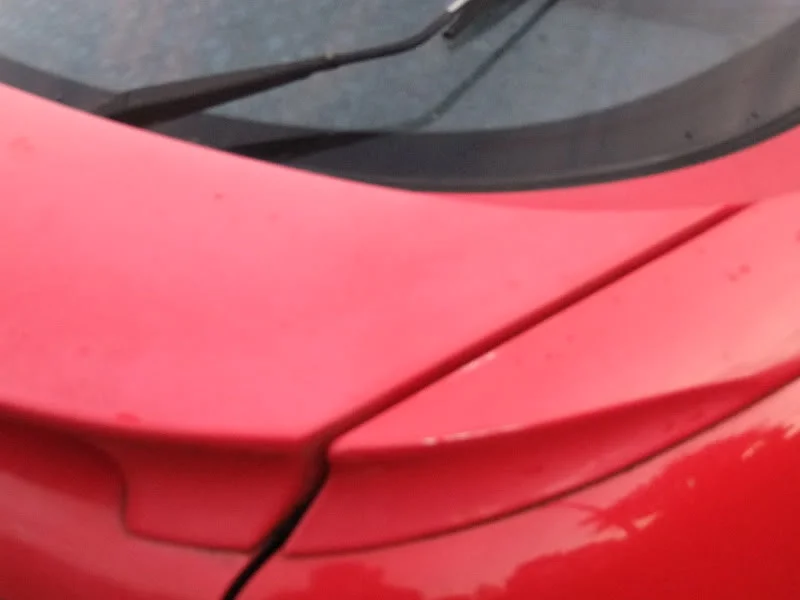 DSCF2661.webp