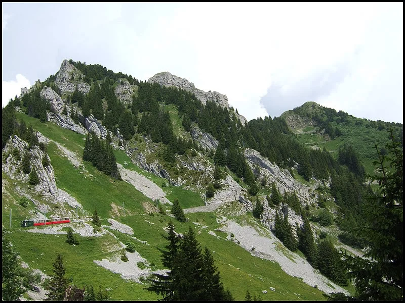 DSCF2662.webp