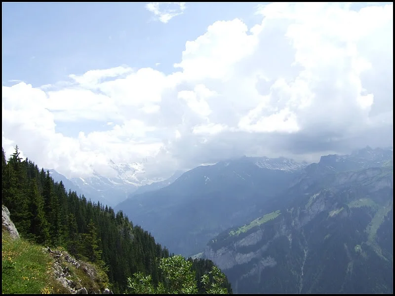 DSCF2664.webp
