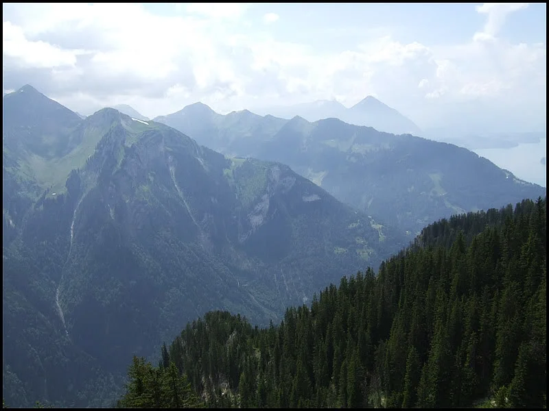DSCF2667.webp