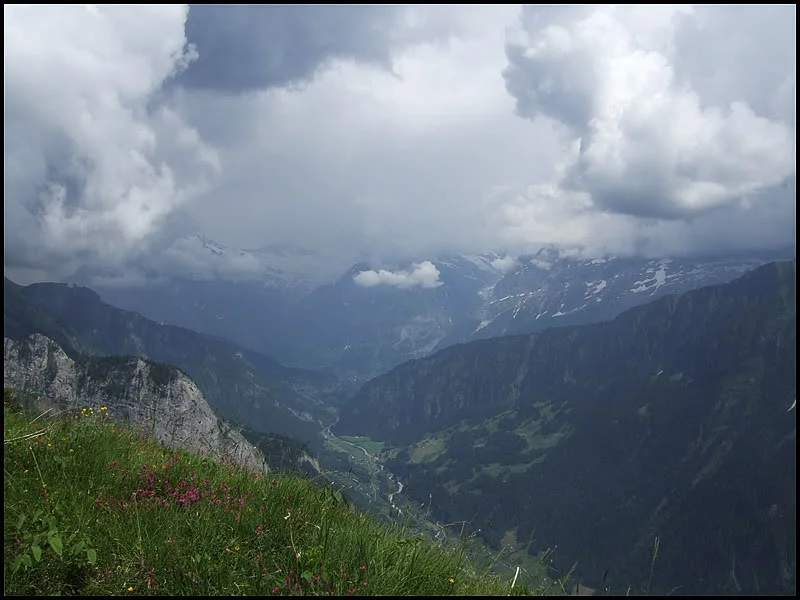 DSCF2668.webp