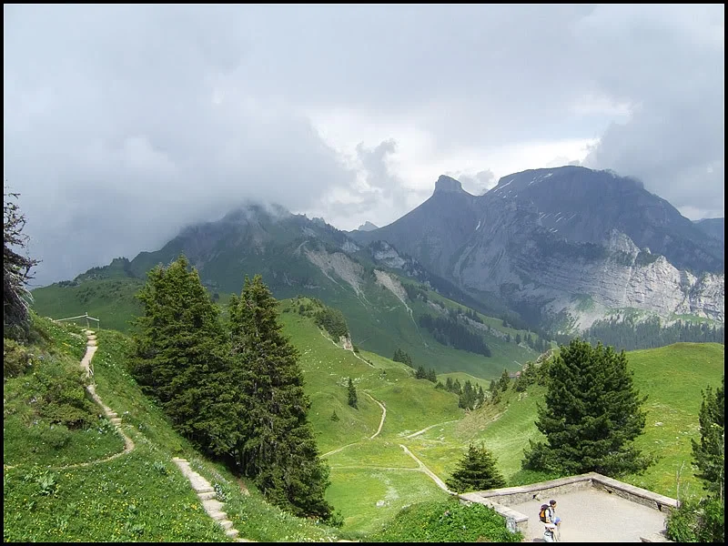 DSCF2670.webp
